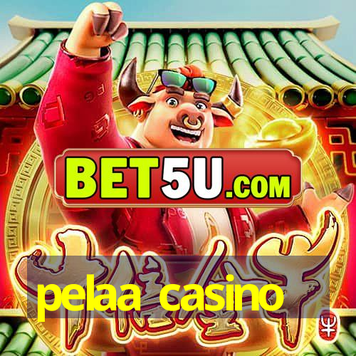 pelaa casino